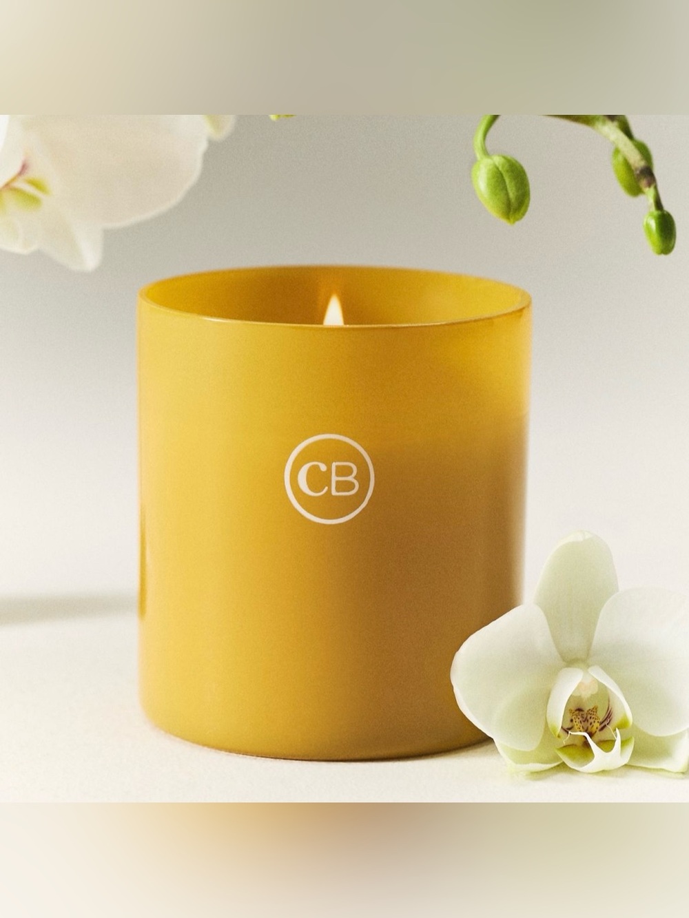 CAPRI BLUE x ANTHROPOLOGIE Aloha Orchid Nautical Candle
